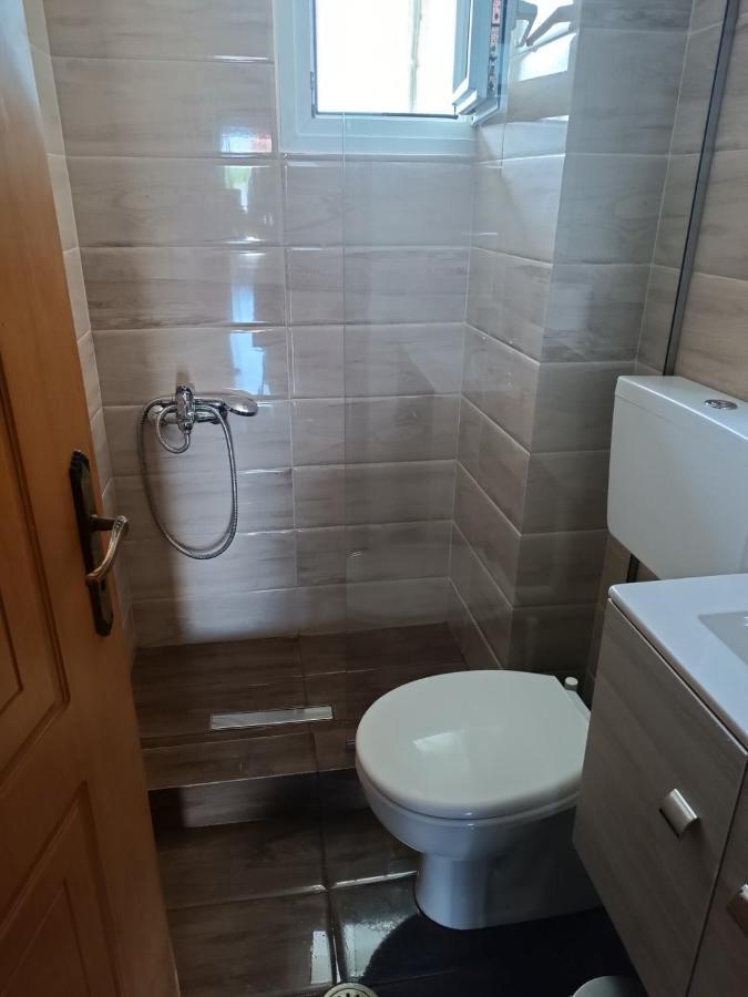 Viviana House Βίλα Μύτικας Εξωτερικό φωτογραφία